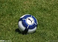 无畏契约福,州总决赛四,强揭晓,3377体育官网,3377体育网页版入口,3377体育h5在线官网,3377体育app下载