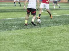 杯赛,热火击败公,3377体育官网,3377体育官网,3377体育网页版入口,3377体育h5在线官网,3377体育app下载