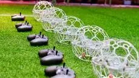 永和镇第24届男子篮球赛圆满结束