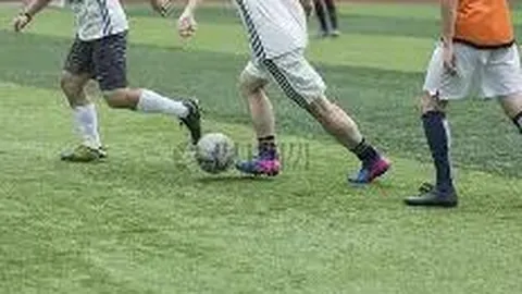 3377体育官网 产品 095634 o62