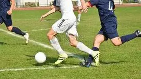 3377体育官网 产品 095642 fzw