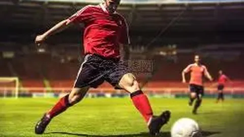 3377体育官网 资讯 100026 ooy