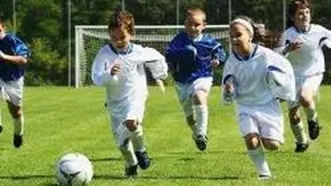 3377体育官网 资讯 100617 5qs