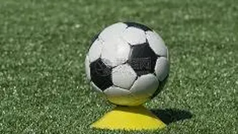 官方宣布：开拓者复召混音队员杨瀚森及吕佩尔